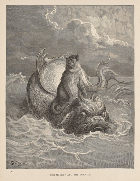 The Monkey and the Dolphin