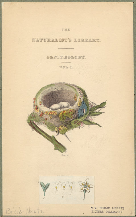 The naturalist's library, ornithology, vol. 1