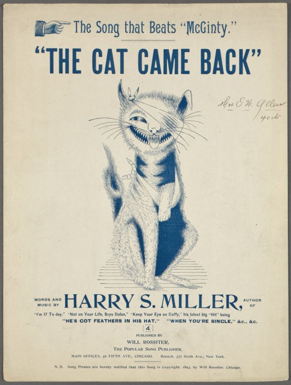 The cat came back