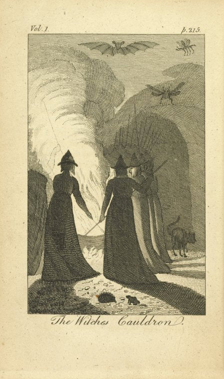 The witches' cauldron