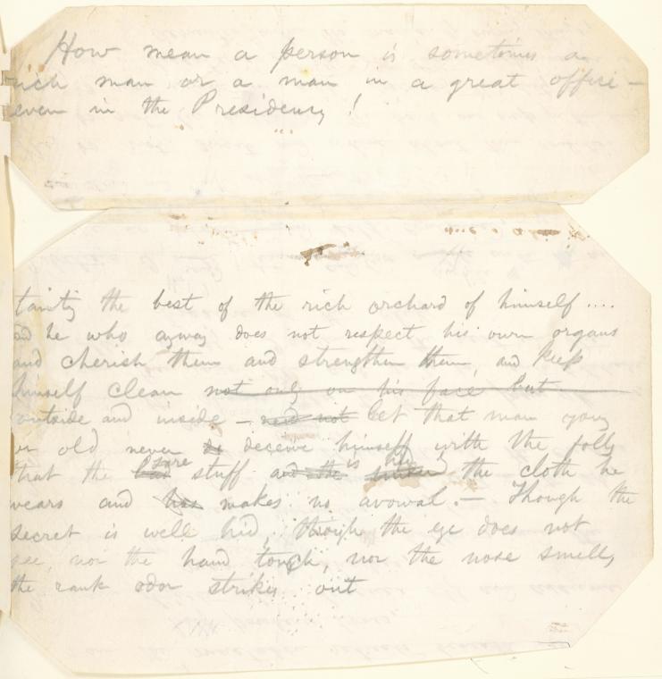 Entire leaf, showing the two attached Whitman manuscripts mounted along their left edges onto a paper hinge, the whole laying flat against the larger leaf behind it