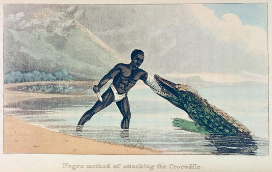 Negro method of attacking the Crocodile
