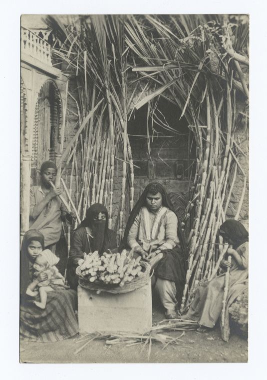 Women and children preparing sugar cane.