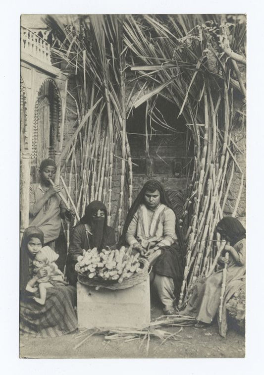 Women and children preparing sugar cane.