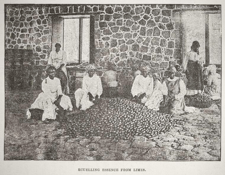 Ecuelling essence from limes