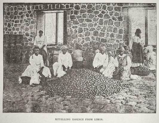 Ecuelling essence from limes