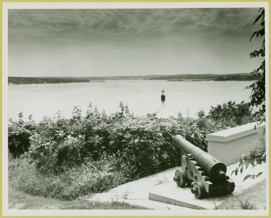 Cannon left by the British at the conclusion of the Revolutionary War at Fort Hill (Fort Franklin) at Lloyd Neck