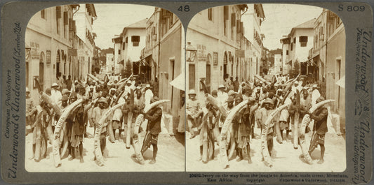Ivory on the way from the jungle to America, main street, Mobaasa, East Africa