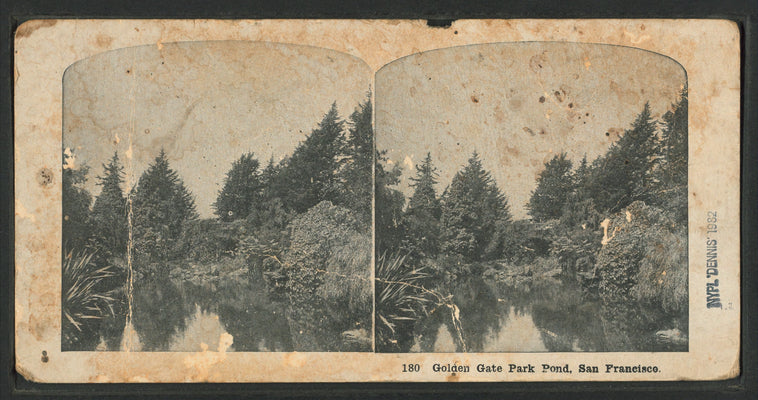 Golden Gate Park Pond.