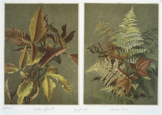 Two prints entitled 'Autumn leaves #3' and 'Autumn ferns'
