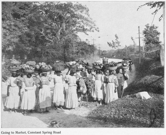 Going to the market, constant spring road.