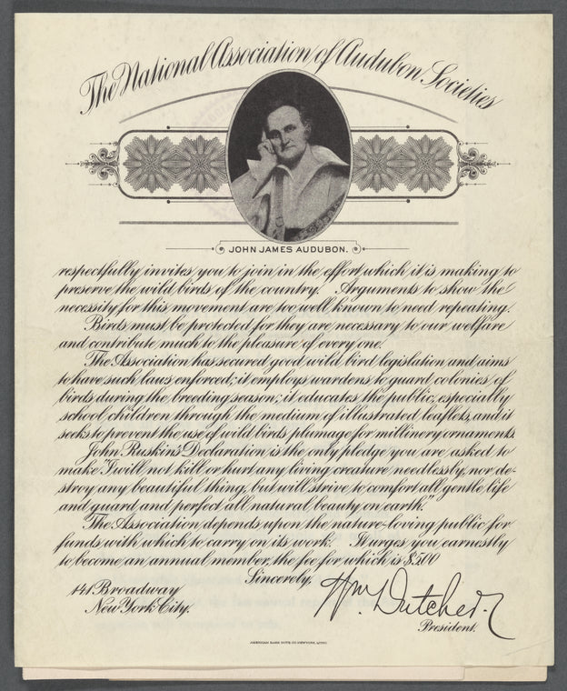 The National Association of Audubon Societies invitation and membership brochures