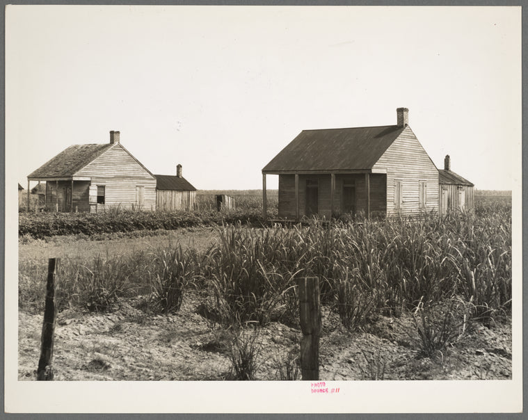 Cabins for sugarcane workers. Bayou La Fourche, Louisiana
