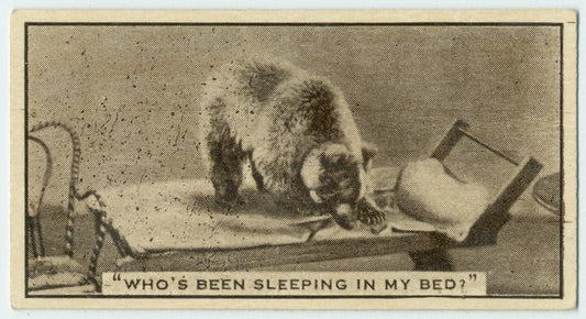 'Who's been sleeping in my bed?'