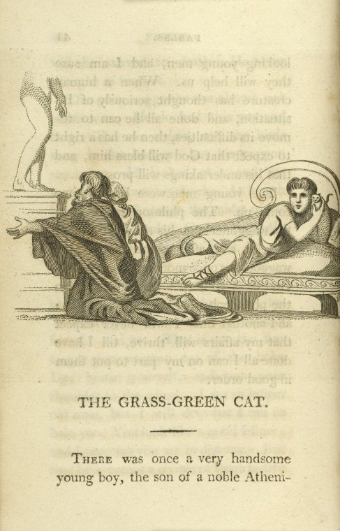 The grass-green cat