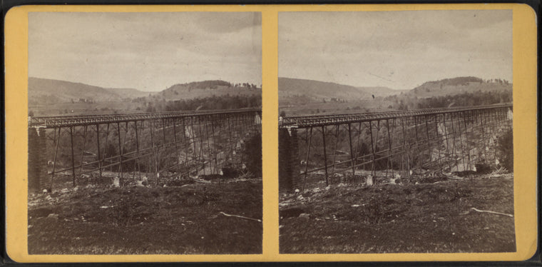 Lyon Brook Bridge, Chenango Co., N.Y.