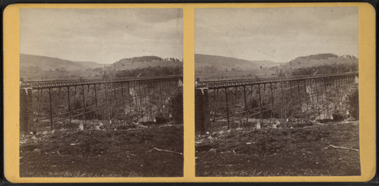 Lyon Brook Bridge, Chenango Co., N.Y.
