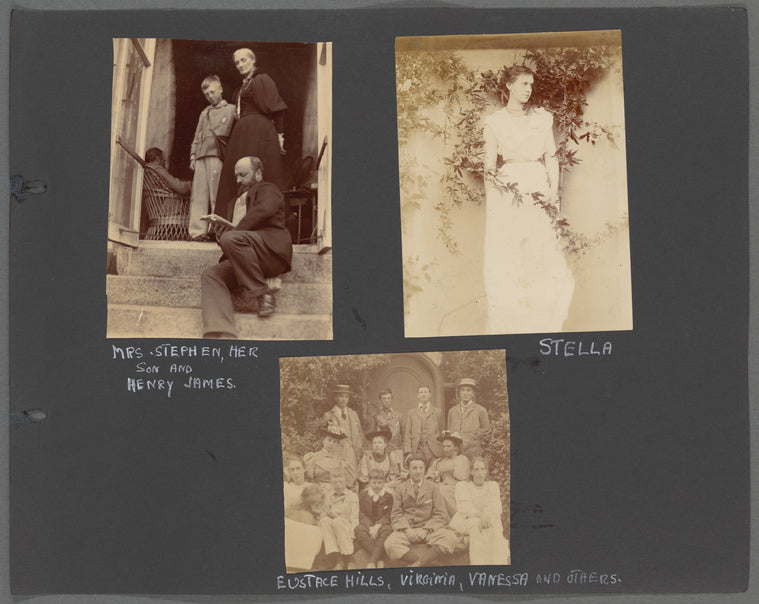 Mrs. Stephen, her son and Henry James; Stella; Eustace Hills, Virginia, Vanessa and others