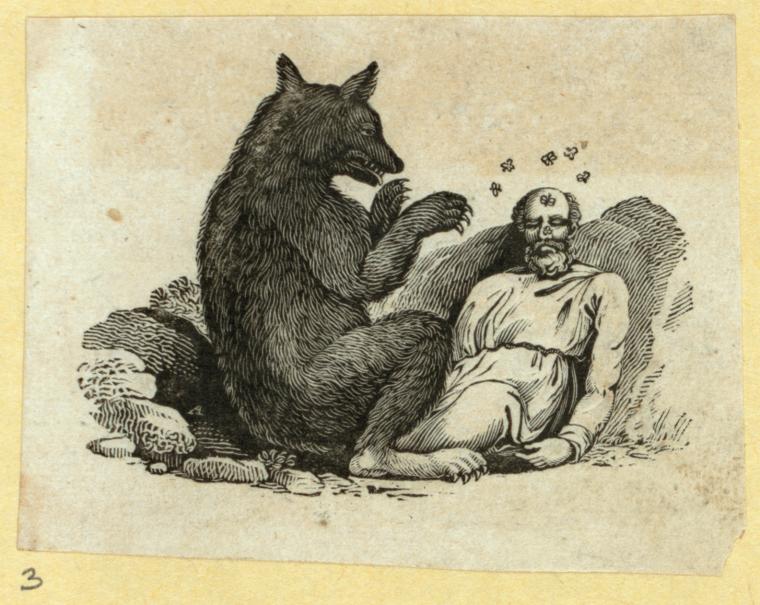 Bears.