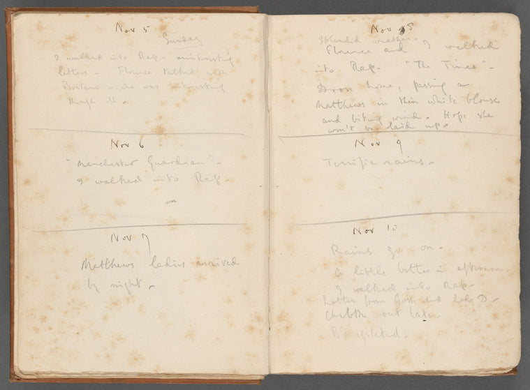 Diary entries