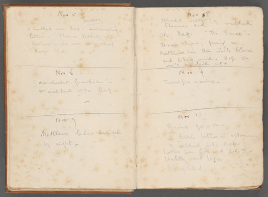 Diary entries