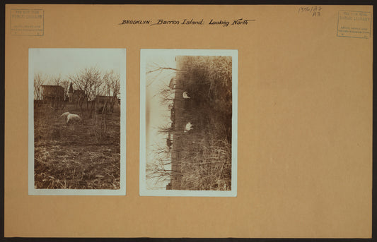 Islands - Barren Island - [Brooklyn].
