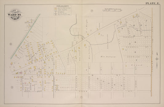 Parts of the City Auburn. Wards 10.