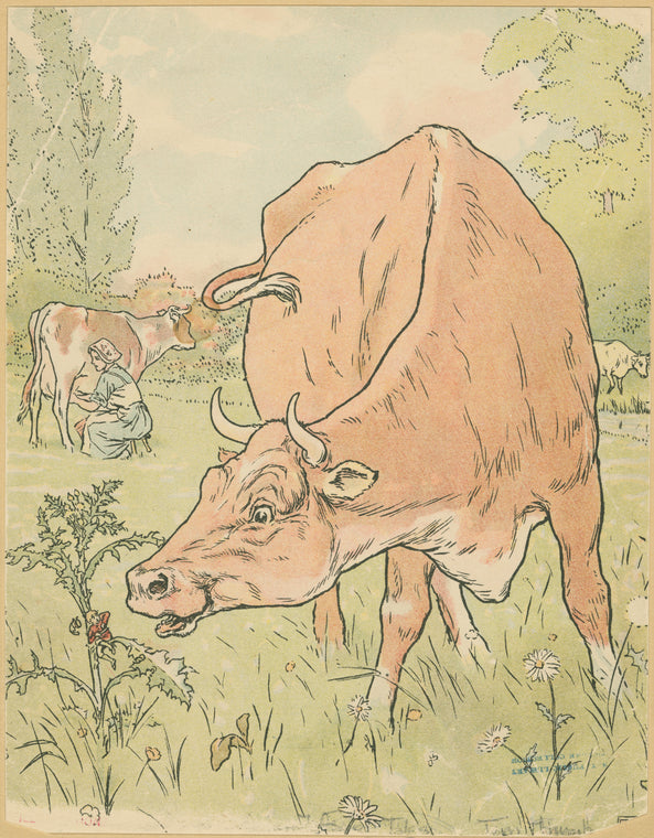 The cow sees Tom Thumb.