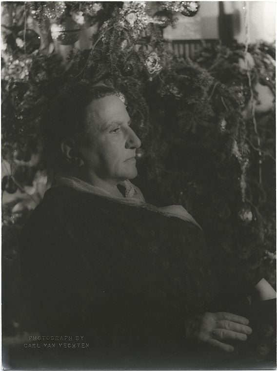 Gertrude Stein, New York