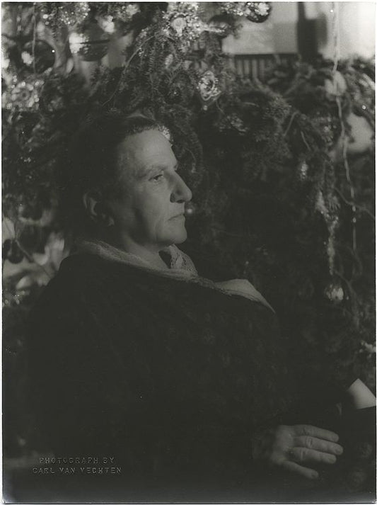 Gertrude Stein, New York
