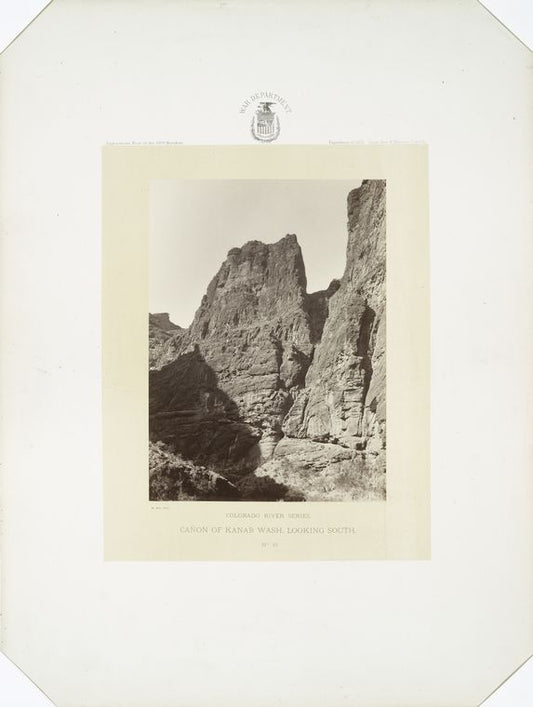 Cañon of Kanab Wash, looking south.