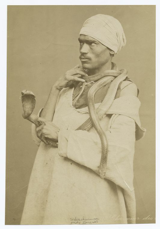 Charmeur des [serpents].
