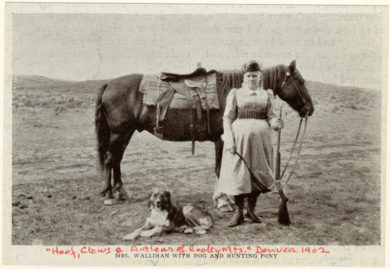 Mrs. Wallihan with dog and hunting pony