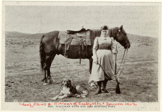 Mrs. Wallihan with dog and hunting pony
