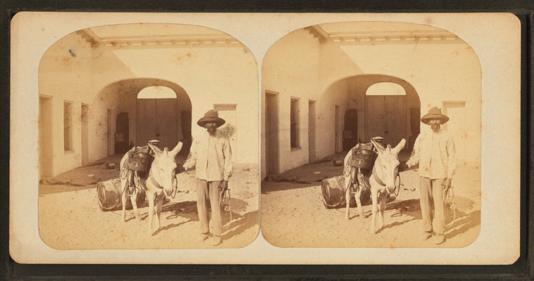 Water Carrier.