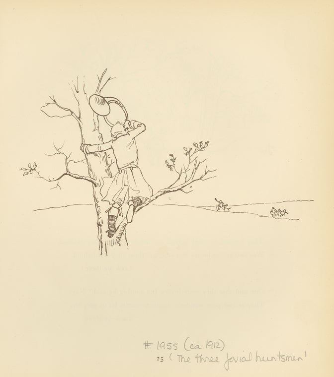 A huntsman in the tree