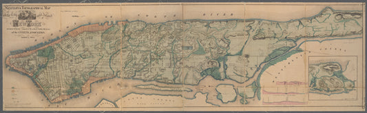 Sanitary & topographical map of the city and island of New York: prepared for the Council of Hygiene & Public Health of the Citizens' Association