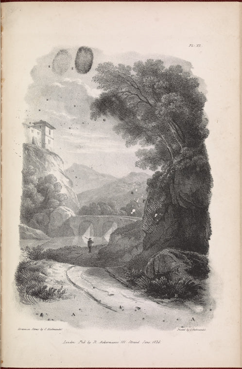 Plate 11