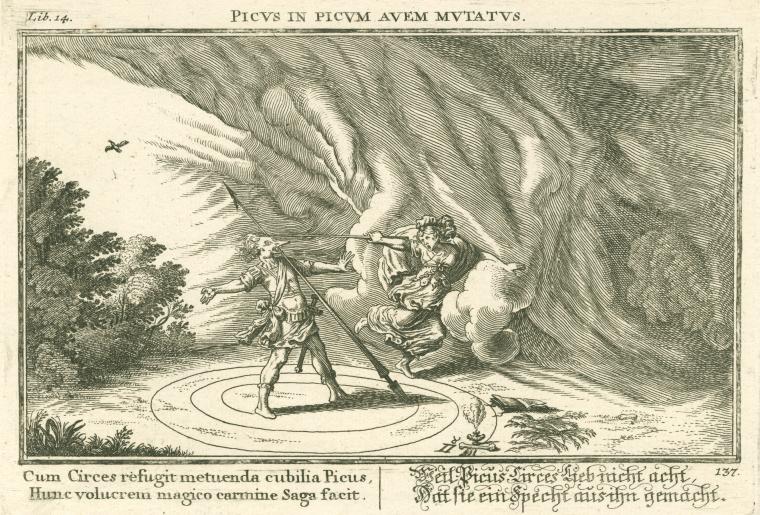 Picus in picum auem mutatus