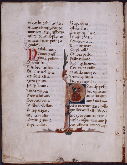 Historiated initial with grotesque animal head. Note also stub of music folio (for which see descriptin of Part 1; it may originally have served as cover for this quire in Part 2)