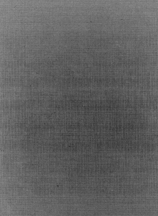 Stefanesti: סיפורה של עיירה