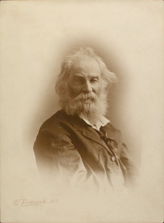 Portrait of Walt Whitman, 1871