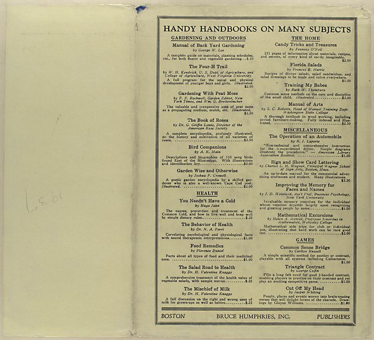 Dictionary and manual of fireworks