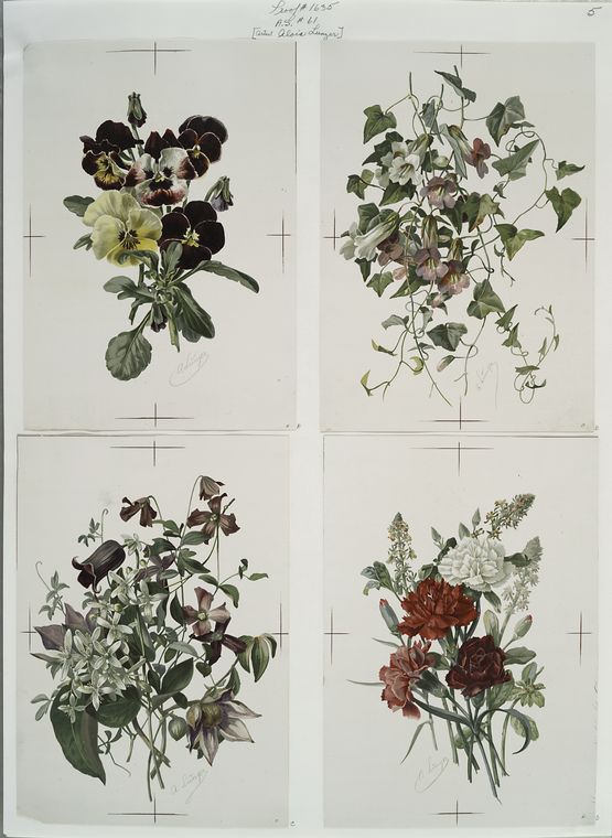 Flowers.