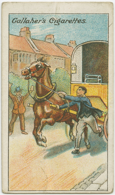 How to stop a runaway horse.