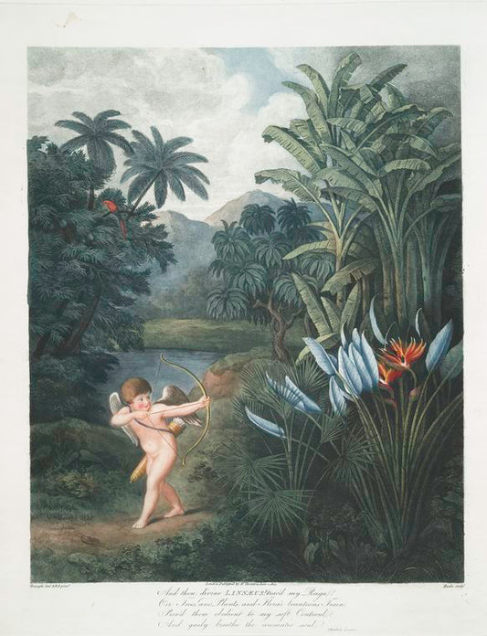 Cupid inspiring plants with love.