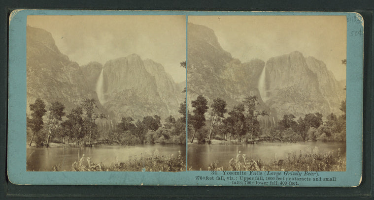 Yosemite Valley (Large grizzlly bear.)