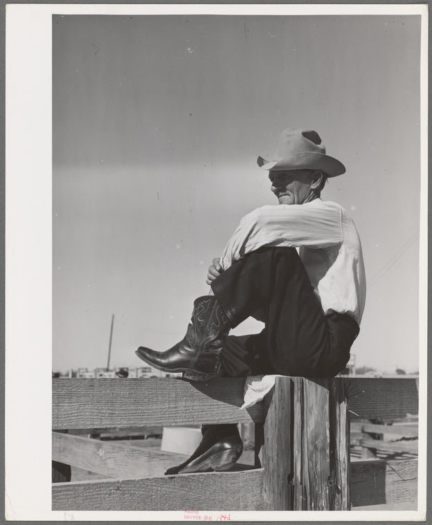 Cowboy. Imperial County Fair, California