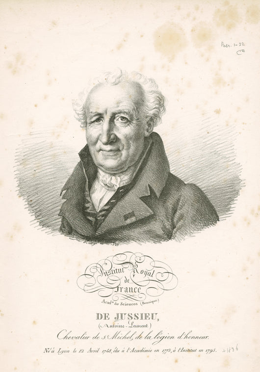 De Jussieu, (Antoine-Laurent): Chevalier de St. Michel, de la légion d'honneur. Né à Lyon le 12 Avril 1748, élu à l'Académie en 1773, à l'Institut en 1795