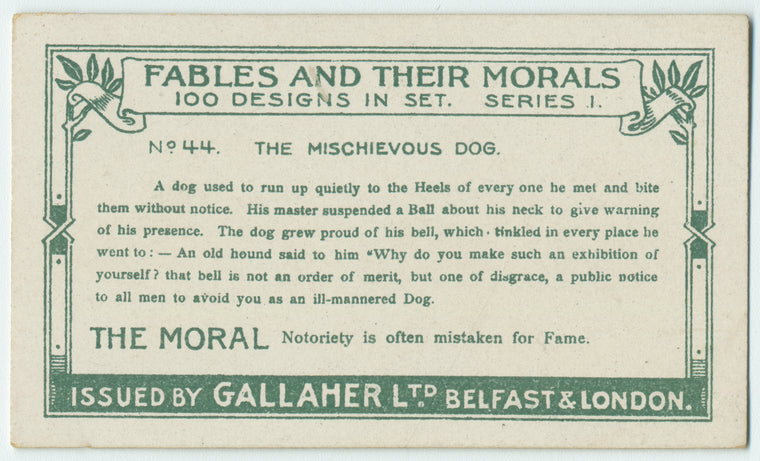 The mischevious dog.